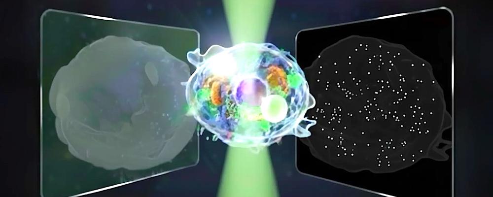 Konceptuell illustration av det tvåvägs ljusspridande mikroskopet, som registrerar både framåt- och bakåtspritt ljus från celler och därmed visar strukturer från hela cellens form till partiklar i nanoskala. Foto: Credit: Horie et al 2025
