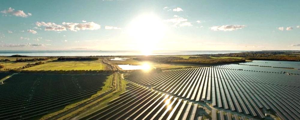 Sol- och batterianläggning i Danmark där Alight och GreenGo Energy samarbetar. Foto: Alight