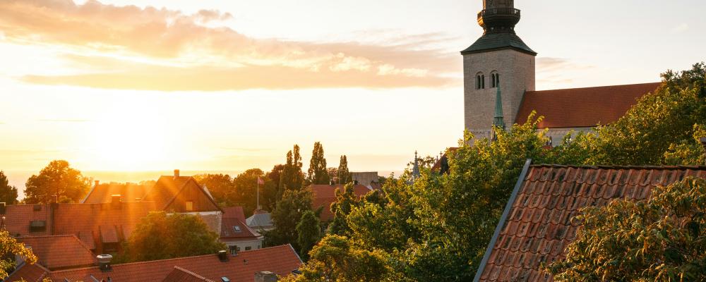 Järnvägens kapacitet nu och i framtiden diskuteras under Almedalsveckan i Visby. Foto: Casper van Battum/Unsplash