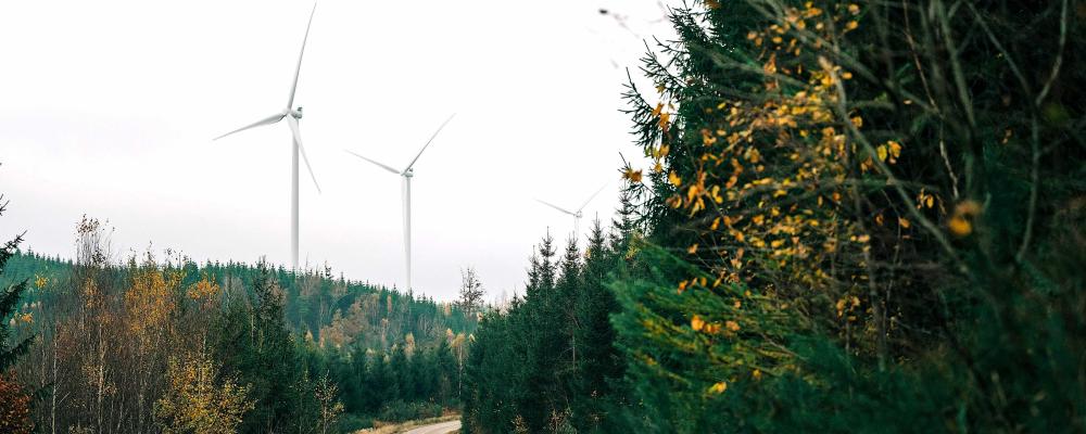 Projektutvecklaren Eolus redovisar ökad förlust i tredje kvartalet trots kraftig omsättningsökning. Foto: Eolus Ab