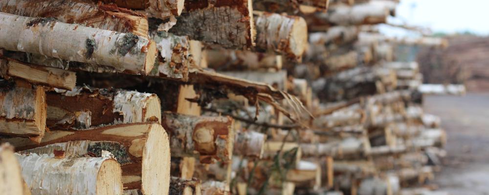 Canfor is a global leader in the manufacturing of high-value low-carbon forest products including dimension and specialty lumber, engineered wood products, pulp and paper, wood pellets and renewable energy.