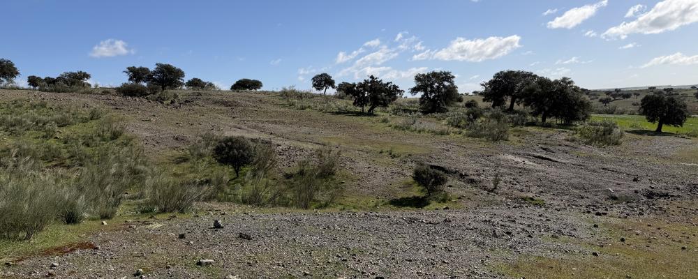 De nya fynden av bronsåldersgruvor förändrar vår förståelse av hur sammanlänkat Europa var redan för 3 000 år sedan, enligt studien. Foto: Johan Ling/Göteborgs univsersitet