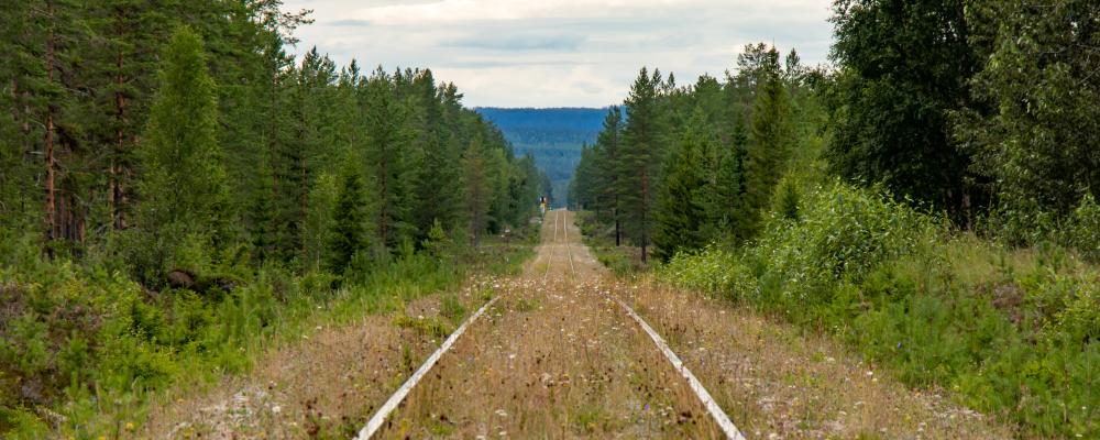 Tankesmedjan framhåller att järnvägsinvesteringar inte bara stärker transportsektorn utan också vidgar arbetsmarknadsregioner och ökar rörligheten på bostadsmarknaden. Foto: lasse nystedt /unsplash