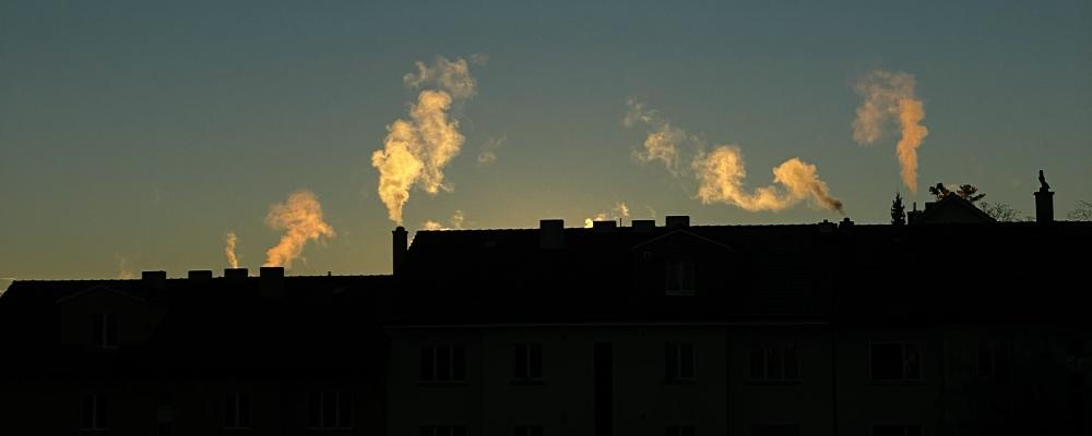 En granskning från Riksrevisionen visar att regeringens styrning är svag och att det är oklart om insatserna bidrar i tillräcklig omfattning till klimatmålen. Myndigheten pekar också på brister i uppföljning av totalkostnader, vilket försvårar jämförelser med andra klimatåtgärder. Foto: Benaja Germann/Unsplash