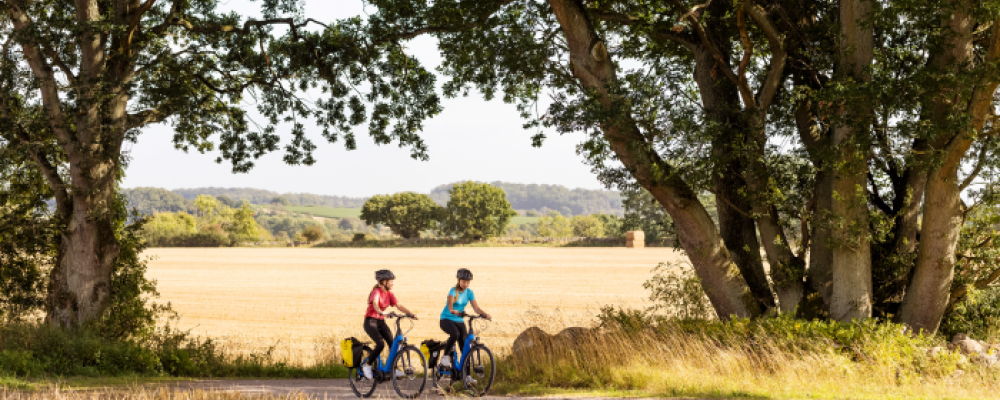 Juryn lyfter fram satsningar som präglas av god cykelbarhet, tillgänglighet och innovativa lösningar. Foto: Region Skåne