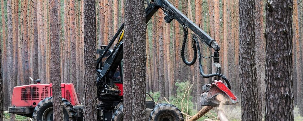 Om Sverige får en liknande status som Finland, kan svenska aktörer som handlar med berörda varor också omfattas av förenklade skyldigheter. Men tills en sådan klassificering är fastställd gäller fortsatt att aktörerna måste följa hela förordningens kravprofil. Foto: Creative Commons lic, pixabay, kredit: Mario Hagen