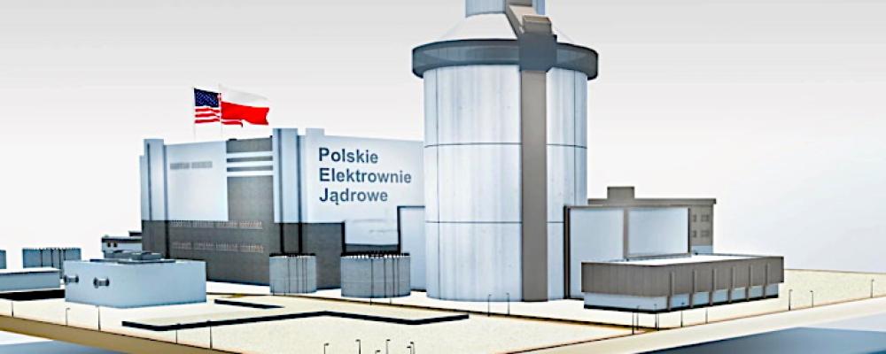 AP1000 är en tryckvattenreaktor utvecklad i USA och används även i pågående kärnkraftsprojekt i Kina och USA, där byggtider och kostnader varierat kraftigt mellan olika anläggningar. Bild: PEJ