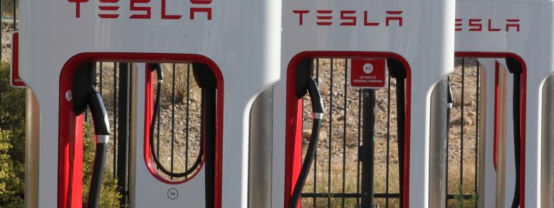 Susan Montoya Bryan/AP/TT: Teslas redovisar som väntat ett rejält vinstfall för fjolårets fjärde kvartal. Arkivbild.