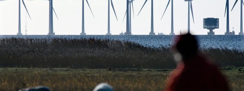 Johan Nilsson/TT: Vindkraftsparken Lillgrund sedd från Bunkeflo i Skåne. Arkivbild.
