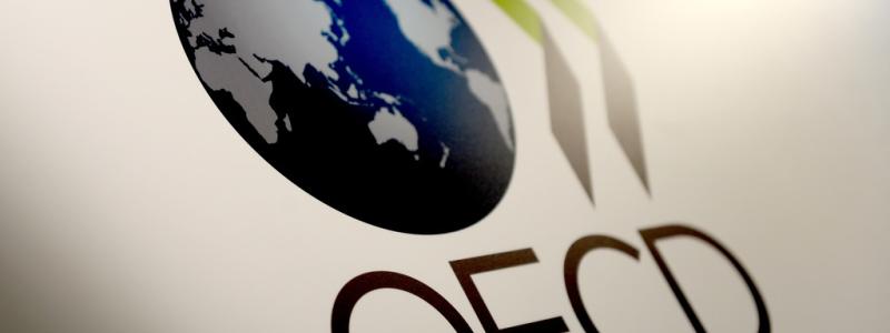 Britta Pedersen AP/TT: Den ekonomiska samarbetsorganisationen OECD sammanfattar inflationsläget i västvärlden. Arkivbild