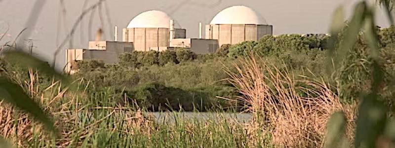 Almaraz kärnkraftverk i Spanien har två reaktorer av Westinghouse-typ med en sammanlagd nettoproduktion på 2 017 megawatt. Foto: Foro Nuclear