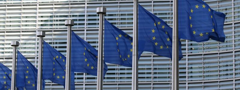 Europeiska fordonstillverkare och leverantörer anser att EU:s regler hämmar innovation. Foto; Guillaume Périgois/Unsplash