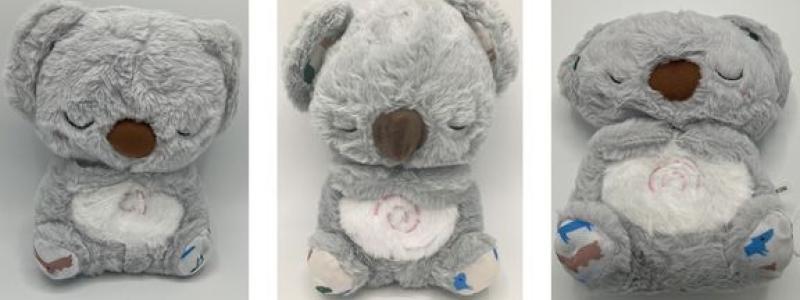 Kemikalieinspektionen har använt bildigenkänning för att jämföra bilder i online-erbjudanden med bilder på varor som tidigare identifierats som bristfälliga. Fotograf: Frida Ramström