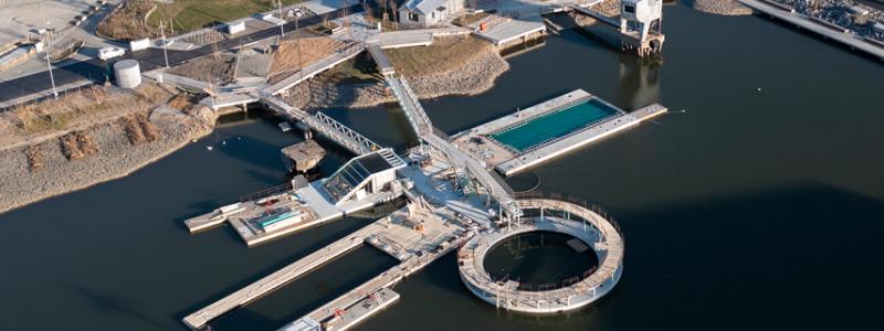Hamnbadet i Jubileumsparken, Frihamnen 7 i Göteborg. Två naturvattenpooler och en sötvattenpool med naturlig rening, flytande ytan totalt ca 1008 m² och bassängerna sammanlagt ca 580 m². Befintliga pontoner och bassäng har återanvänts. Pontonerna är exceptionellt stora, gjutna och levererade på sänkbar pråm. Speciellt för hamnbadet är också diamantformade pontonen i mitten och den runda pontonen med hopptorn utanpå. Foto: Bluet