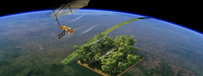 Illustration av Biomass när den mäter jordens skogar. Bild: ESA