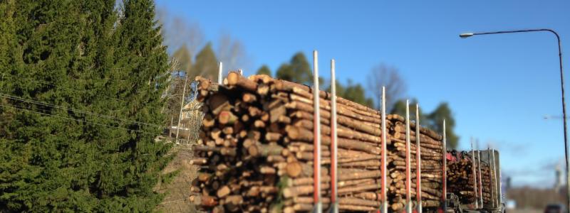Rapportens slutsats är ”tydlig”: Ett minskat skogsbruk innebär ”lägre produktion, färre jobb och – i motsats till vad som ibland påstås – liten eller ingen klimatvinst”.