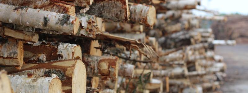 Canfor is a global leader in the manufacturing of high-value low-carbon forest products including dimension and specialty lumber, engineered wood products, pulp and paper, wood pellets and renewable energy.