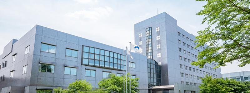 Forskargruppen uppger att man även har tagit ett steg mot industrialisering genom att utveckla metoder för att tillverka större elektroder. Enligt NIMS utgör detta en teknisk grund för att skala upp till större battericeller. Foto: National Institute for Materials Science, NIMS