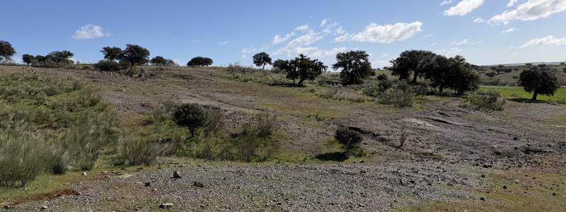 De nya fynden av bronsåldersgruvor förändrar vår förståelse av hur sammanlänkat Europa var redan för 3 000 år sedan, enligt studien. Foto: Johan Ling/Göteborgs univsersitet