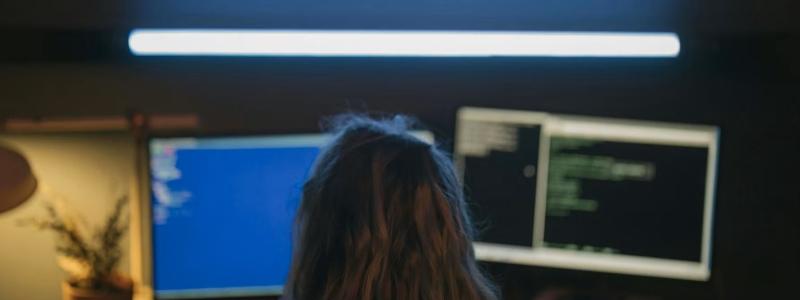 Fler krav, större ansvar. Från och med 15 januari gäller NIS2-direktivet. Foto: gibon