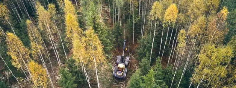 Stora Ensos agerande och ansvar i dessa frågor kommer att spela en viktig roll för hur allmänheten och intressenterna ser på deras förmåga att kombinera industriell verksamhet med långsiktigt naturvårdarbete.  Foto: Stora Enso Metsä