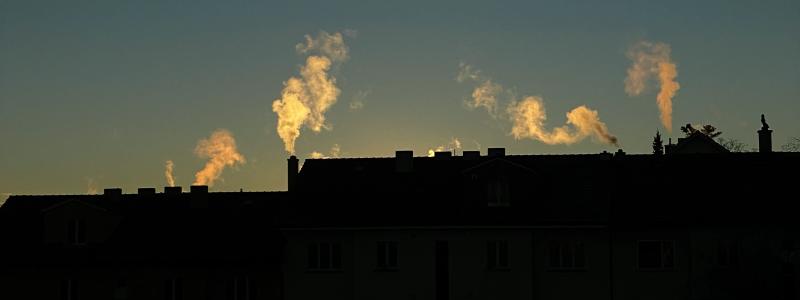 En granskning från Riksrevisionen visar att regeringens styrning är svag och att det är oklart om insatserna bidrar i tillräcklig omfattning till klimatmålen. Myndigheten pekar också på brister i uppföljning av totalkostnader, vilket försvårar jämförelser med andra klimatåtgärder. Foto: Benaja Germann/Unsplash