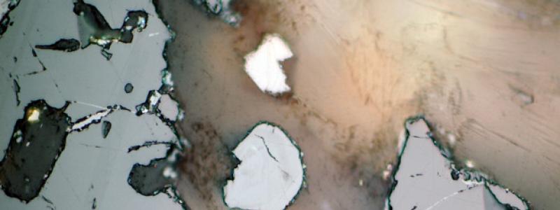 Den något ljusare kristallen som kan ses mitt i bild är skogbyit. Bild tagen i planpolariserat ljus. Kristallen är cirka 50 mikrometer i diameter. Foto: Erik Jonsson, SGU