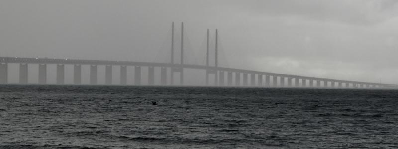 Öresundsbron sett från Malmö. Foto: Anastasiya D/Unsplash