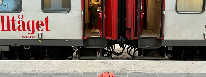 Resandet ökade med 30 kilometer per person 2024 Foto: jonathan noack /unsplash