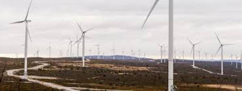 Vindkraftparken vid Blaikfjället i Västerbotten är en av Skellefteå Krafts största vindkraftsinvesteringar. Foto: Skellefteå Kraft