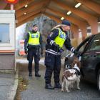 Tulltjänstepersoner med narkotikasökhunden Lola kontrollerar fordon i Svinesund. Fotograf: Mette Ottosson/Tullverket