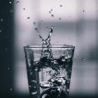 Den 1 januari 2026 införs nya gränsvärden för dricksvatten enligt LIVSFS 2022:12. Foto: andrew r /unsplash