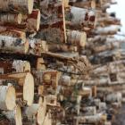 Canfor is a global leader in the manufacturing of high-value low-carbon forest products including dimension and specialty lumber, engineered wood products, pulp and paper, wood pellets and renewable energy.
