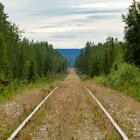 Tankesmedjan framhåller att järnvägsinvesteringar inte bara stärker transportsektorn utan också vidgar arbetsmarknadsregioner och ökar rörligheten på bostadsmarknaden. Foto: lasse nystedt /unsplash