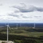 Vindkraftparken vid Blaikfjället i Västerbotten är en av Skellefteå Krafts största vindkraftsinvesteringar. Foto: Skellefteå Kraft