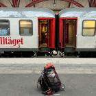 Resandet ökade med 30 kilometer per person 2024 Foto: jonathan noack /unsplash