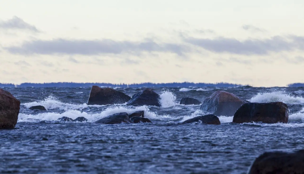 Greencarrier inleder ett treårigt samarbete med John Nurminen Stiftelsen för att bidra till skyddet av Östersjöns marina miljö och kulturarv. Foto: Lasse Hendriks 