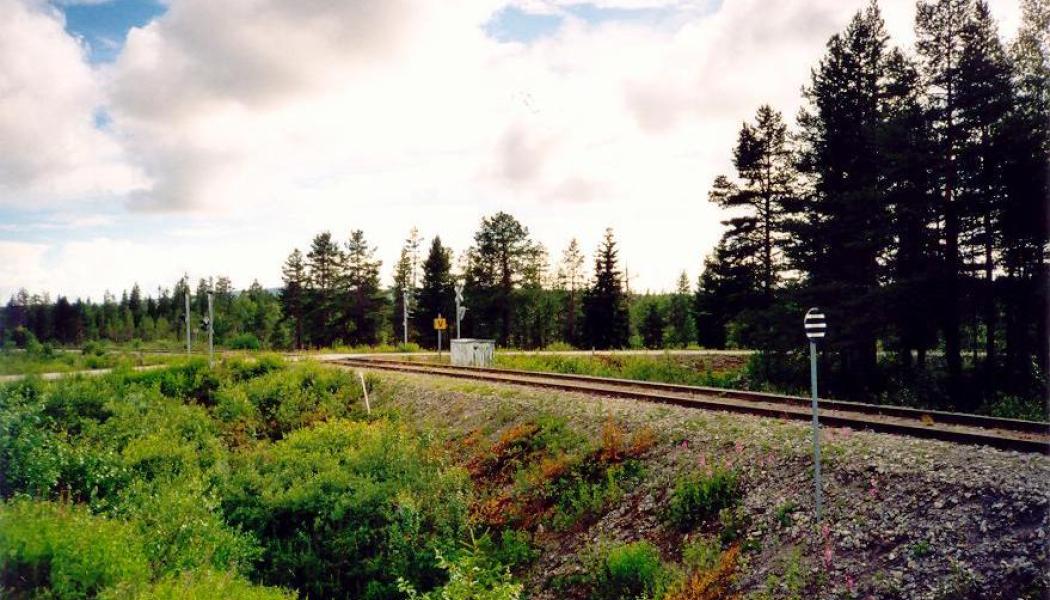 Inlandsbanan i norra Sverige, mellan Storuman och Sorsele. Inlandsbanan pekas ut när järnvägen ska stärkas för totalförsvaret. Foto: Sebbe/Wikimedia Commons/https://commons.wikimedia.org/wiki/File:Inlandsbanan_nara_Vindelalven.jpg