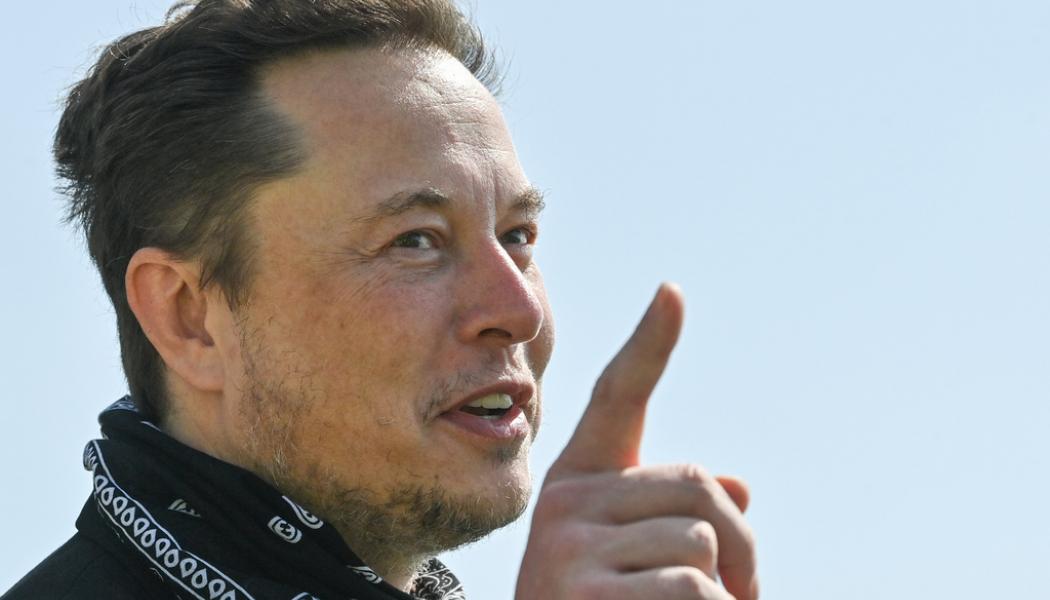Patrick Pleul/dpa via AP/TT: Teslas grundare Elon Musk kräver att en person som tidigare förhört honom ska få sparken. Arkivbild.