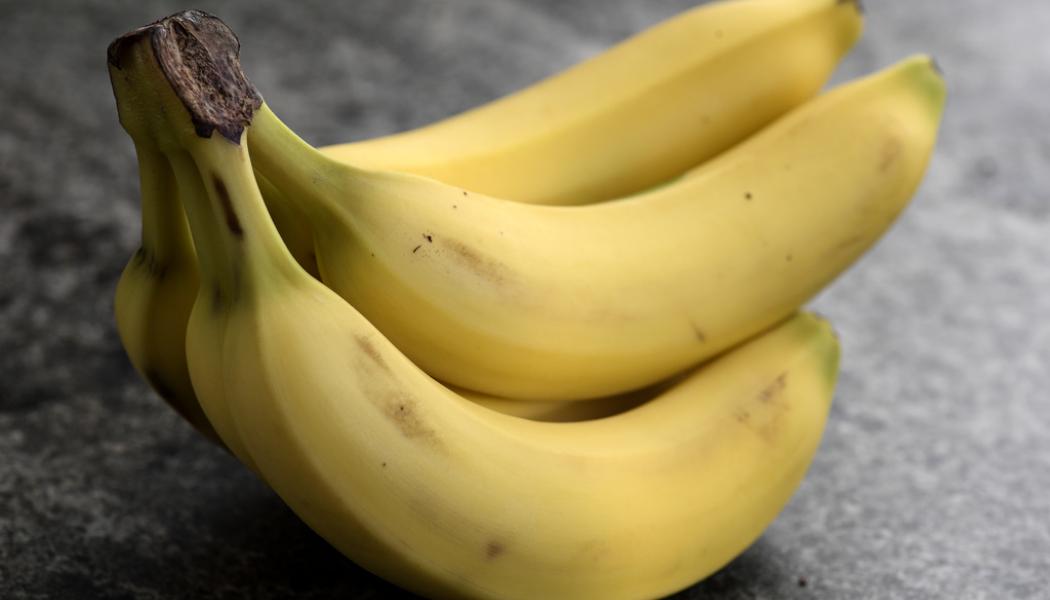 Janerik Henriksson/TT: En bananbåt till Helsingborg väntas bli den första som berörs av Hamnarbetarförbundets blockad mot ryskägda fartyg. Arkivbild.
