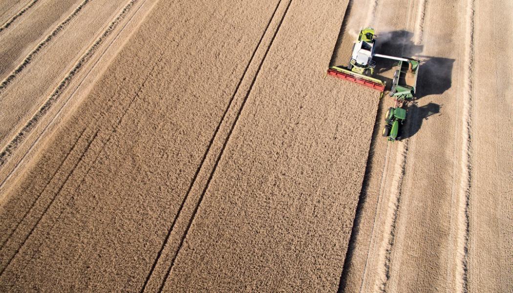 Johan Nilsson/TT: Matpriserna i världen är rekordhöga på grund av kriget i Ukraina