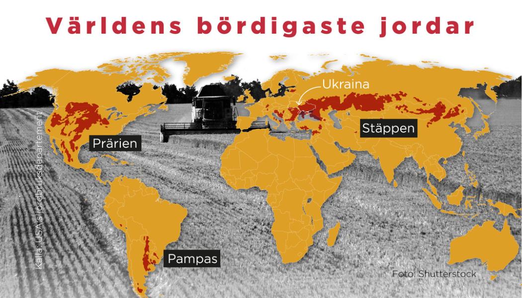 Anna-Lena Lindqvist: Här finns världens bördigaste jordar. Stäpp, prärie och pampas. Nästan hela Ukraina ligger i ett av de bördigaste områdena med lössjordar på jordklotet.