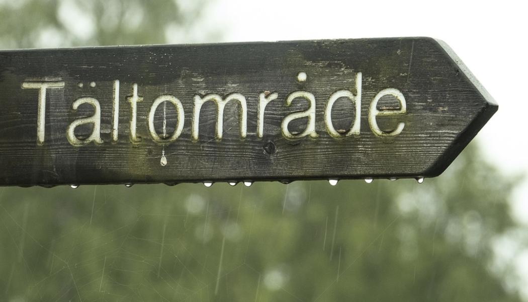 Leif Blom/TT: En blöt campingplats oroar svensken mer än pengarna. Arkivbild.