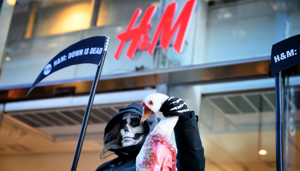 Jessica Gow/TT: H&M faller tungt på börsen. Arkivbild.
