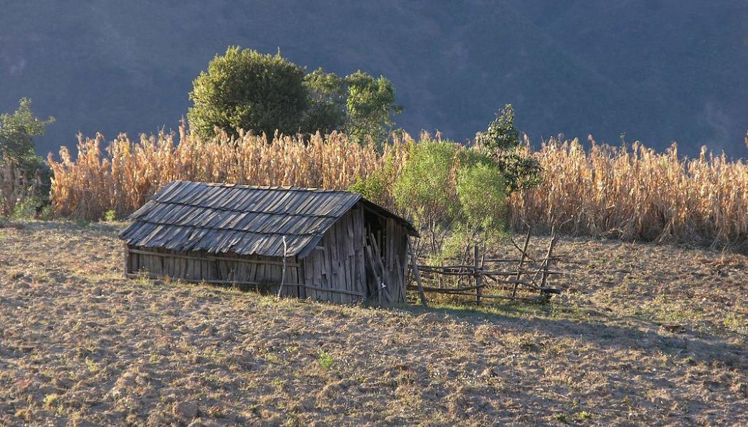 Foto: Enriqueta Flores-Guevara & Lon Brehmer