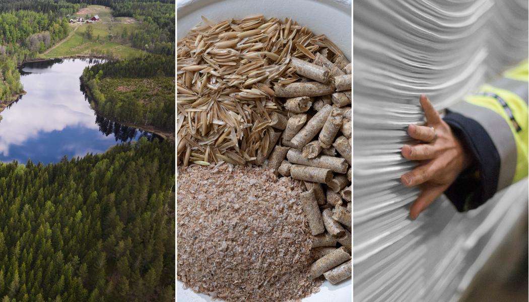 Photo: Södra 