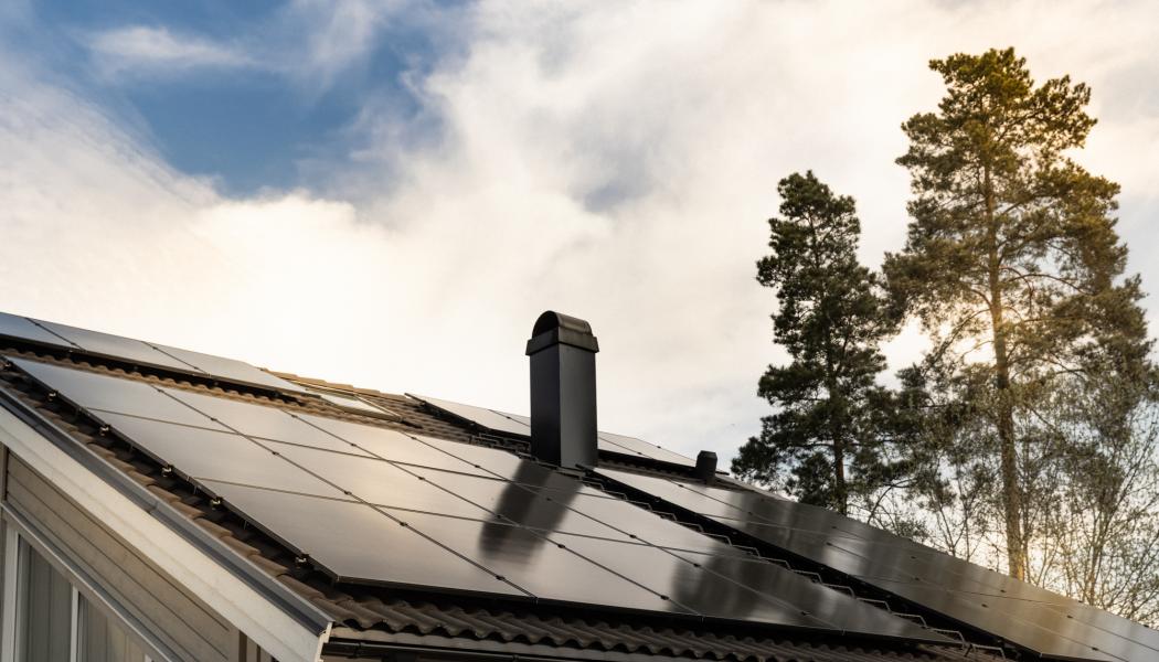 Svea Solar planerar att fortsätta växa exponentiellt även de kommande åren. Foto: Maria Cruseman