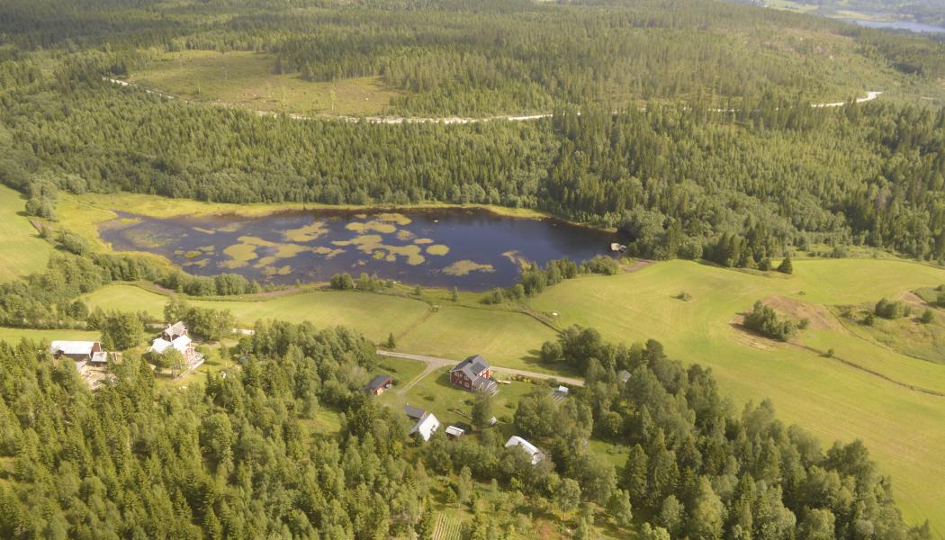 Det är i princip bara Sverige och Finland som har storskaligt skogsbruk i Europa.