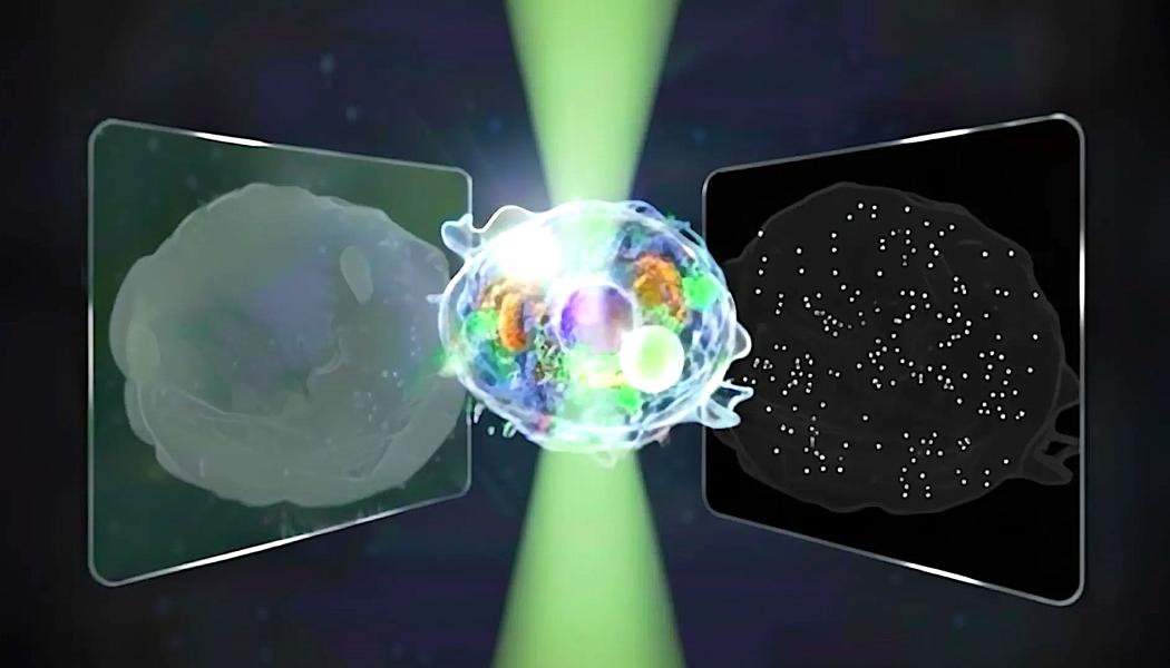 Konceptuell illustration av det tvåvägs ljusspridande mikroskopet, som registrerar både framåt- och bakåtspritt ljus från celler och därmed visar strukturer från hela cellens form till partiklar i nanoskala. Foto: Credit: Horie et al 2025