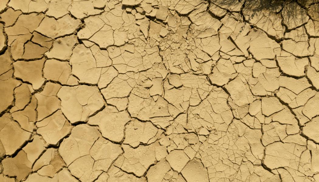 Stora delar av Spanien ha förvandlats till öken vid seklets slut. Bild från Bardenas Reales, Spanien. Foto: Alba Calbetó/Unsplash